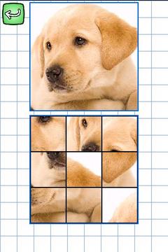 German & Puzzles: Animals游戲截圖4