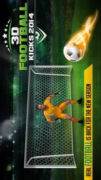 3D FOOTBALL KICKS 2014游戲截圖2