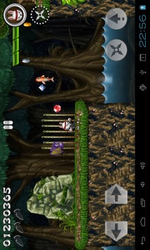 Bun-Fu Free Platform Game游戲截圖2