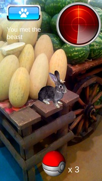 Pocket Animals GO游戲截圖3