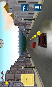Police Car Chase游戲截圖3