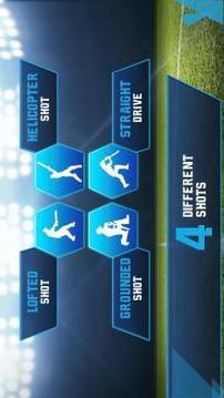 Cricket T20-Multiplayer Game游戲截圖4