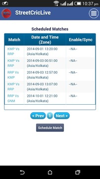 Cricket Scorer for All Matches游戲截圖4