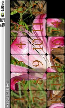 TileFun Slide Puzzle游戲截圖4