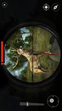 Wild Animal Jungle Hunt - Forest Sniper Hunter游戏截图2