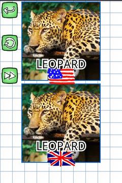 Puzzles in English: Animals游戲截圖1