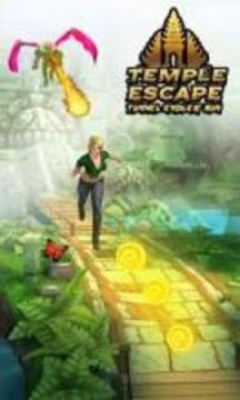 Temple Princess Escape Jungle Run游戲截圖2