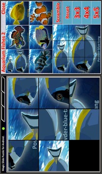 Magic Slide Puzzle A Fishes 2游戲截圖1
