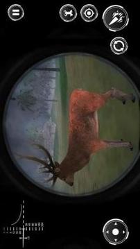 Wild Safari Hunting Animals - Sniper Shooting Game游戲截圖5