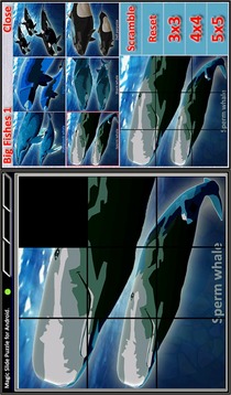 Magic Slide Puzzle B Fishes 1游戲截圖5
