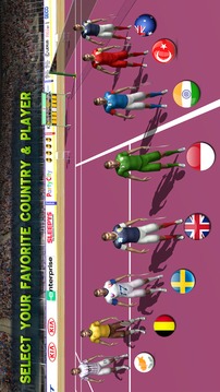 BSL Badminton Super League - HQ Badminton Game游戲截圖4