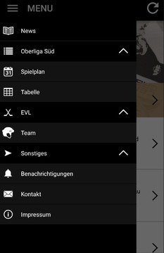 EVL Landshut Eishockey游戲截圖1