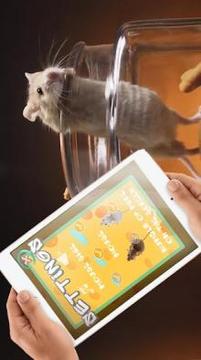 Cat Games, Mouse游戲截圖1