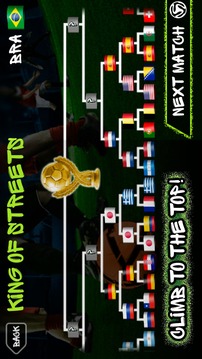Street Soccer World Pro 2014游戲截圖3