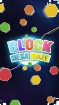 Block Hexa Maze Space: Puzzle Game游戲截圖4