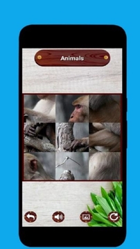 動(dòng)物圖片拼圖游戲截圖3