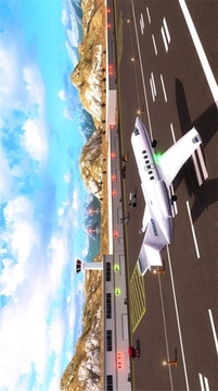 飛機(jī)模擬2020游戲截圖3