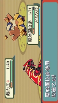 口袋妖怪光之魄游戲截圖3