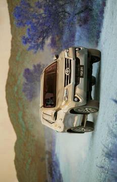Fortuner Car Racing Simulator游戲截圖3
