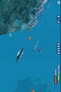 3D狂鯊3游戲截圖4