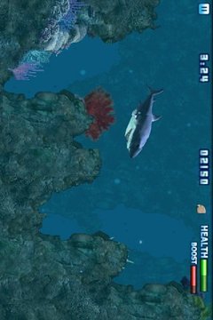 3D狂鯊3游戲截圖2