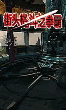街頭格斗之拳霸游戲截圖2