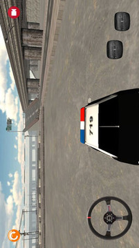 单机游戏警车驾驶游戏截图5
