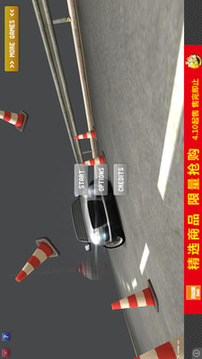 汽車(chē)駕駛者游戲截圖1