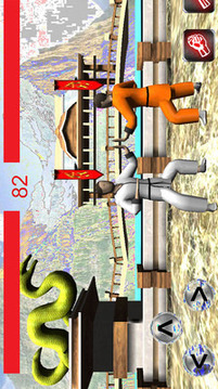 功夫之王3D游戲截圖1