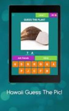 Hawaii Guess The Pic!游戲截圖5