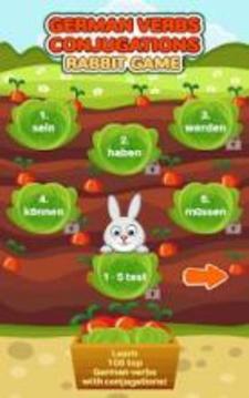 German Verbs Conjugations Rabbit Game游戲截圖5