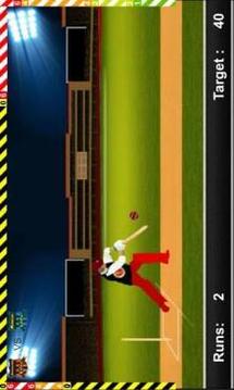 Play IPL Cricket Game 2018游戲截圖2