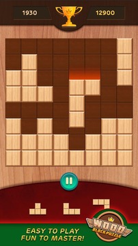 Wood Block Puzzle 1010游戲截圖4