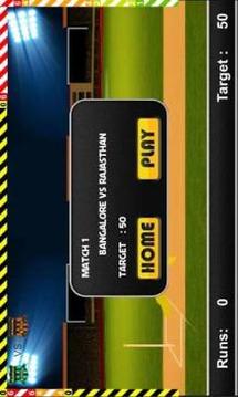 Play IPL Cricket Game 2018游戲截圖3
