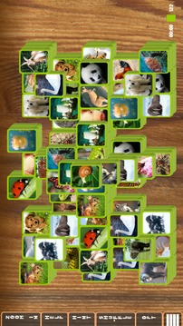 Mahjong Fauna: Animal Tiles LE游戲截圖3