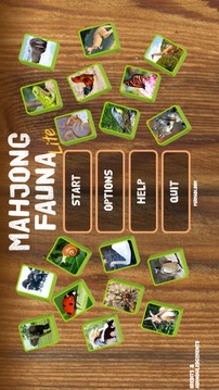 Mahjong Fauna: Animal Tiles LE游戲截圖1