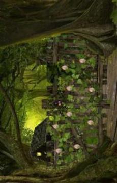 Can You Escape Tropical Forest游戲截圖2