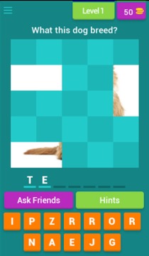Dog Breeds Quiz游戲截圖1