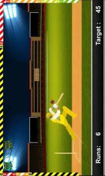 Play IPL Cricket Game 2018游戲截圖1