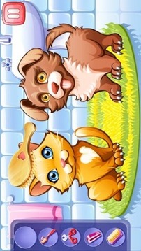 Dog And Cat Story游戲截圖5