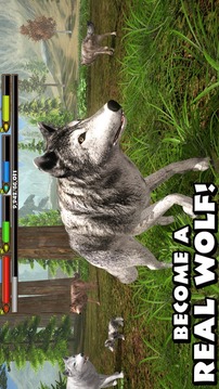 终极野狼模拟器游戏截图1
