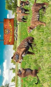 Ultimate Tiger Family Wild Animal Simulator Games游戲截圖4