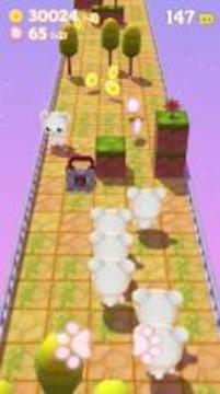 Pet Pet Rush游戲截圖2