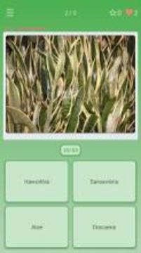 Guess the Plant (House, Garden)游戏截图2