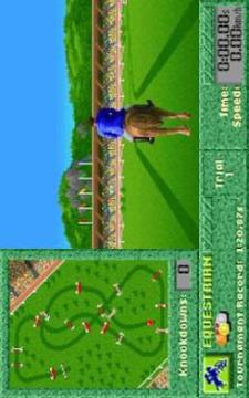 Summer Challange Sports游戲截圖2