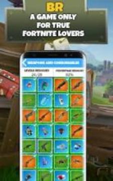 Guess the Picture Quiz for Fortnite游戏截图2