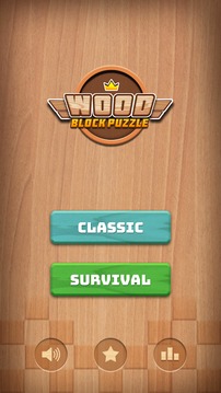 Wood Block Puzzle 1010游戲截圖2