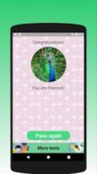 What kind of bird are you? Test游戲截圖1