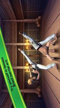 Capoeira Sports Fighting 3D游戲截圖1