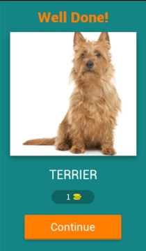 Dog Breeds Quiz游戲截圖2